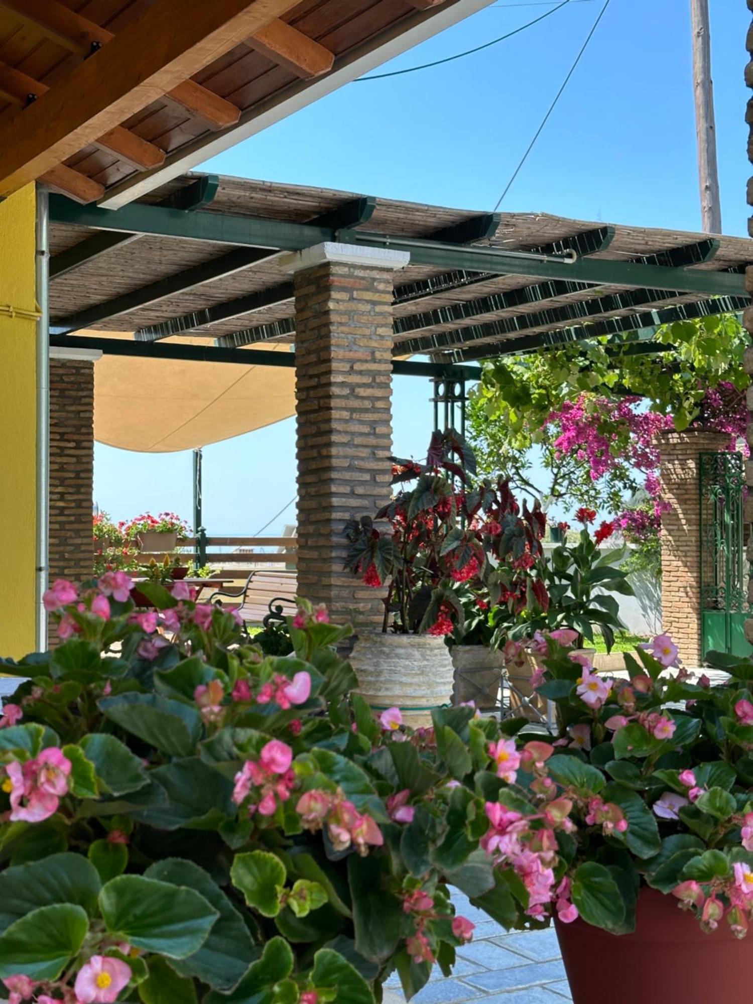 Villa Sofia Parga Bagian luar foto