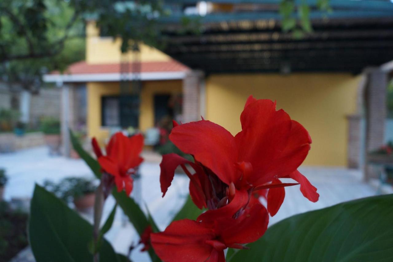 Villa Sofia Parga Bagian luar foto